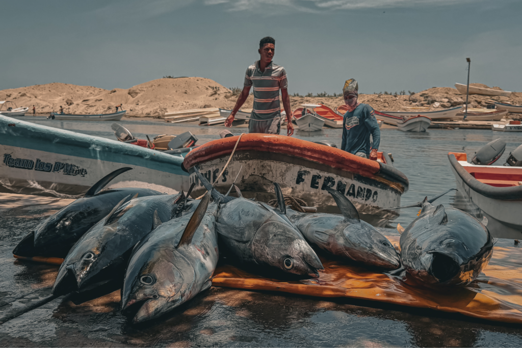 “Sí hay pescado, pero no quien lo compre”