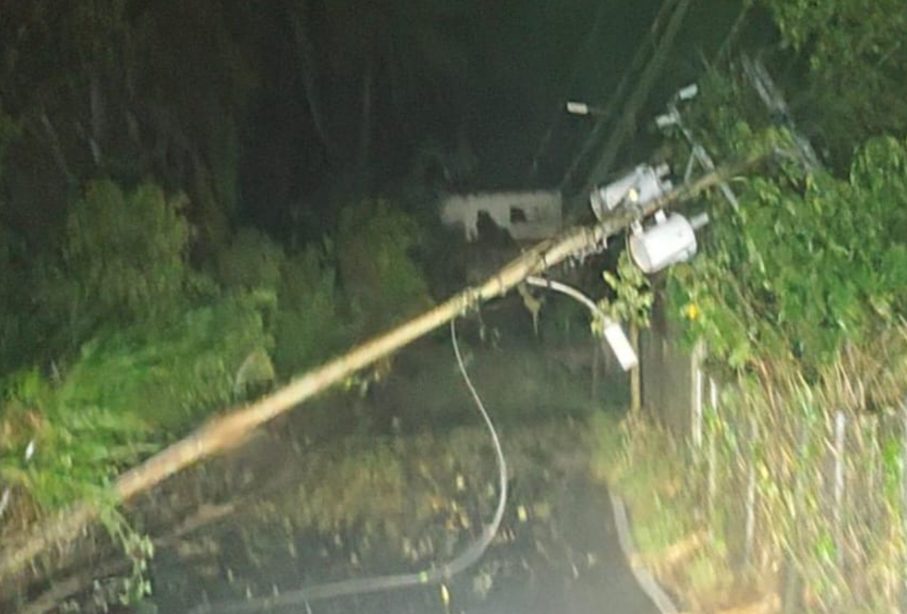VIDEO: tormenta eléctrica con fuertes ráfagas de viento causó alarma en la Gran Caracas