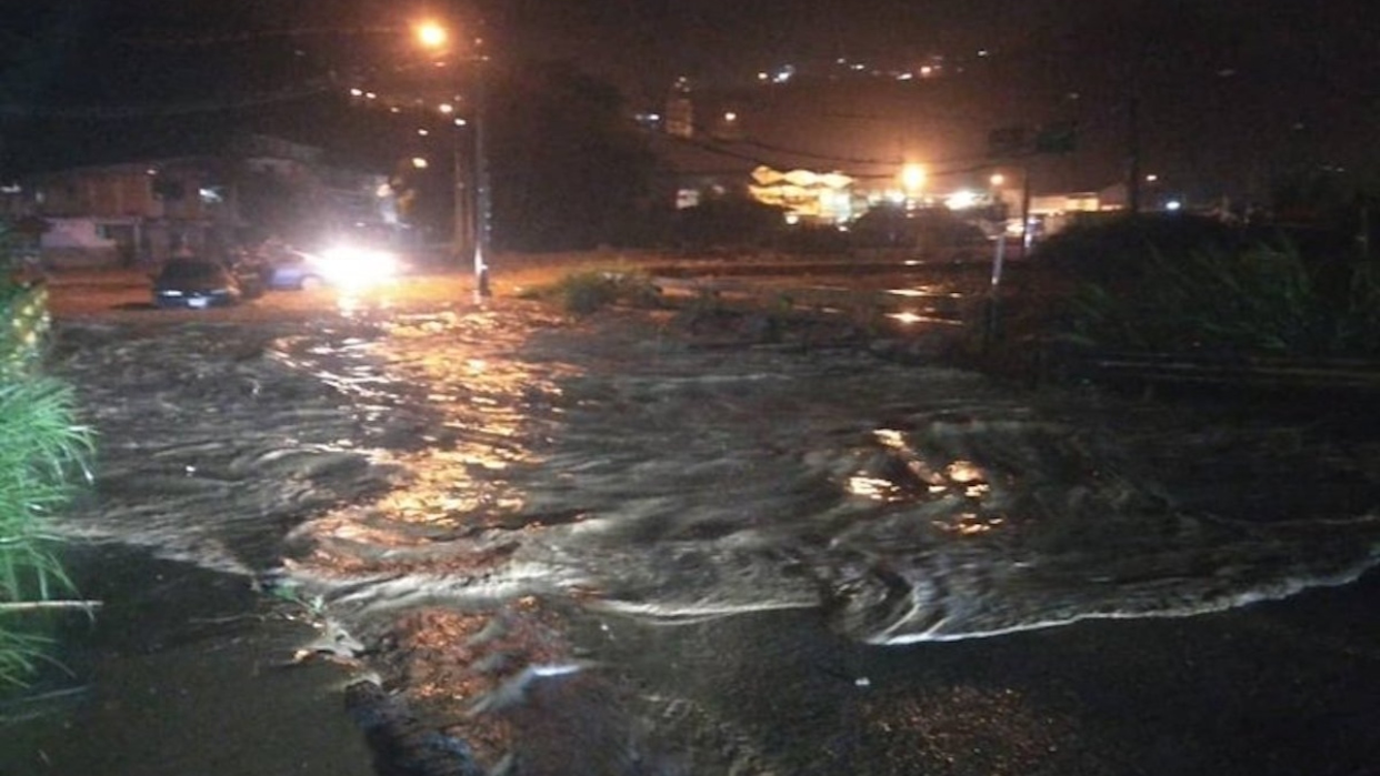 Caída de árboles y anegaciones dejó tormenta eléctrica en región central del país