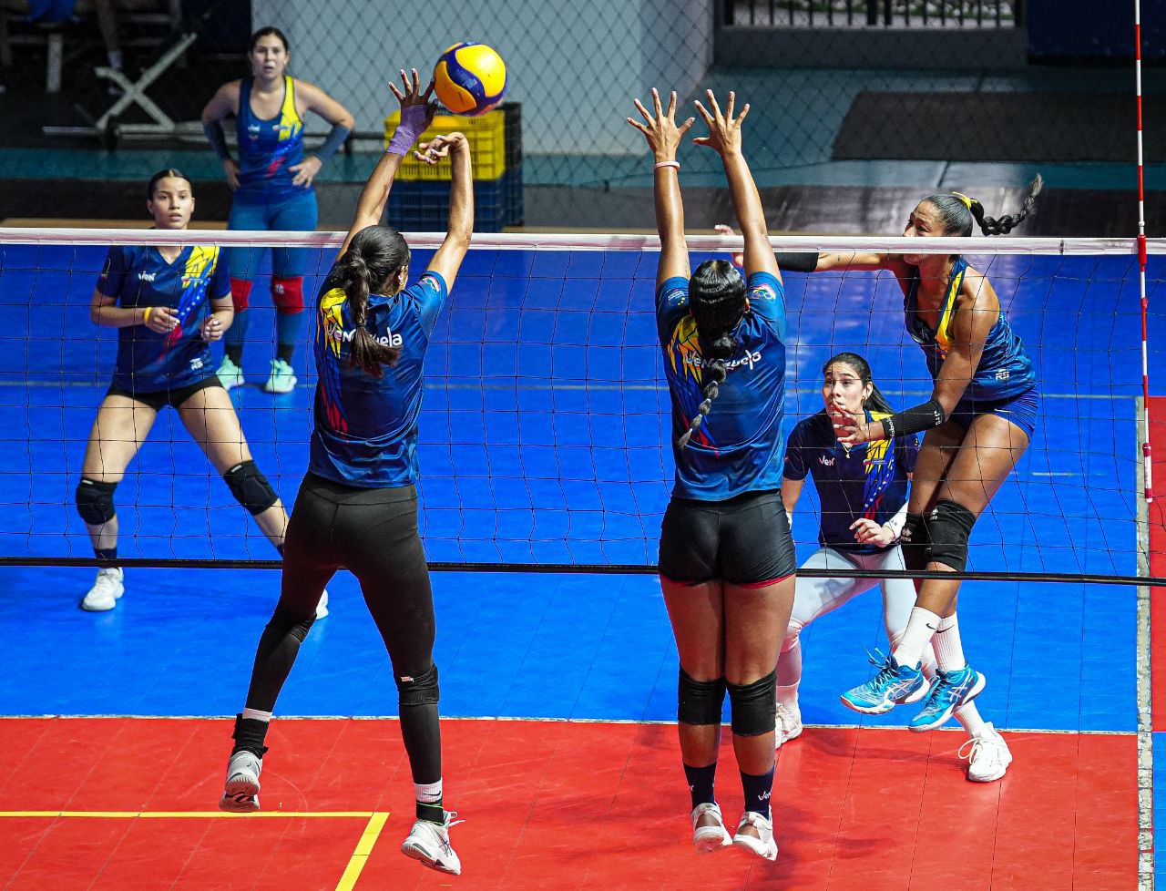 Venezuela supera a Túnez, 3-0, y se mantiene en la pelea, en el Campeonato Mundial de Voleibol Femenino < El Informador Venezuela