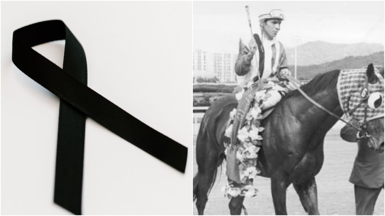 Hipismo de luto: falleció el legendario jinete venezolano Ángel Francisco Parra | NTN24.COM