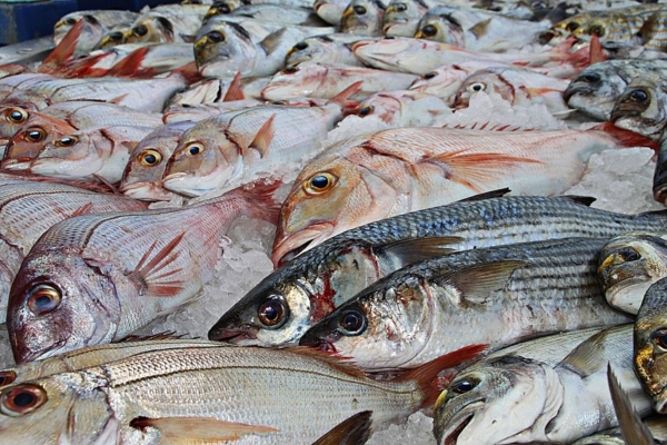#Dato: El 60% de los restaurantes especializados en pescados y mariscos en La Guaira están abiertos – bancaynegocios.com