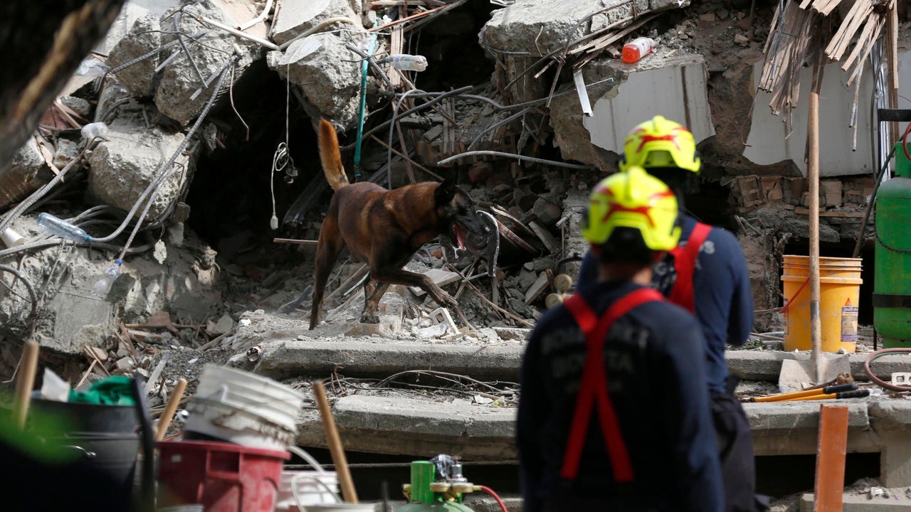 Así fue el rescate de un niño luego de 32 horas del terremoto: Cali no pierde la esperanza | NTN24.COM