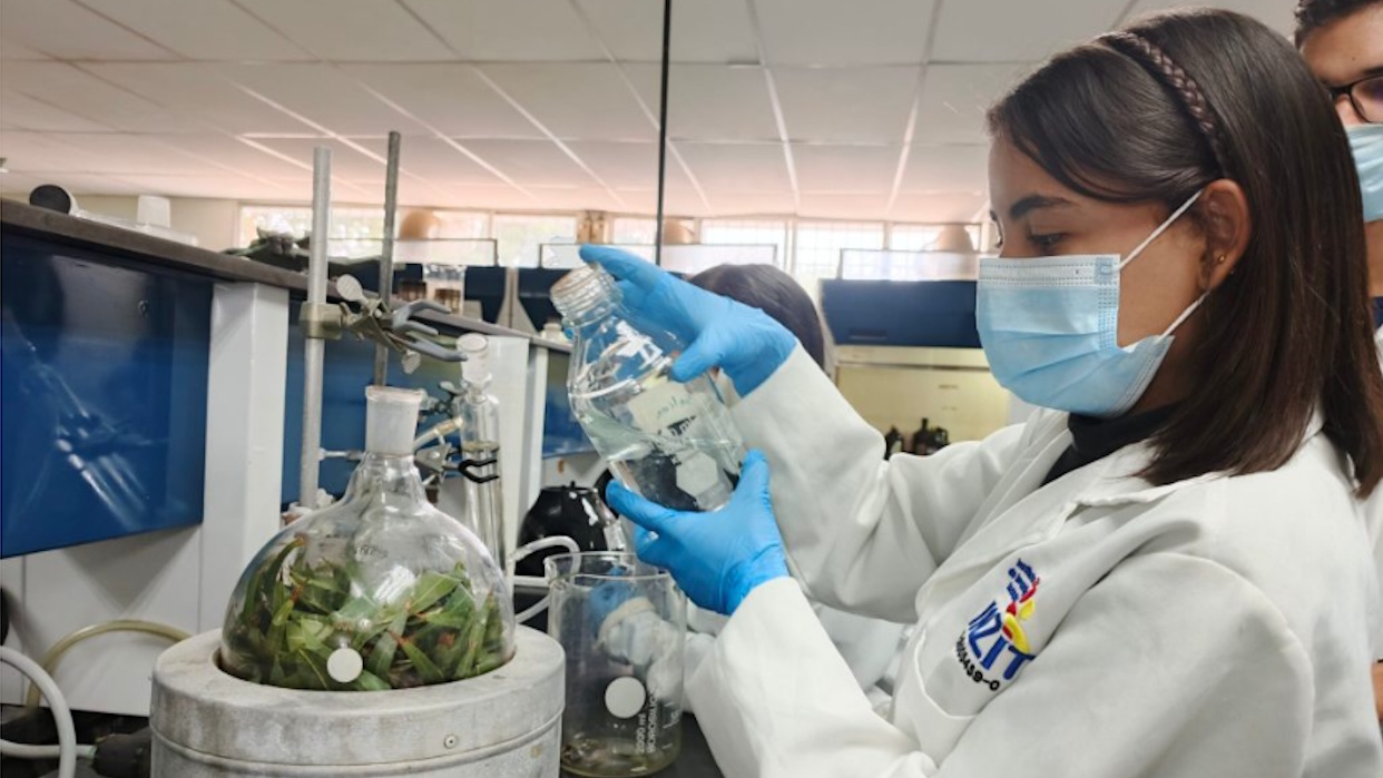 Científicos venezolanos crean recubrimiento biodegradable que alarga la vida de las frutas