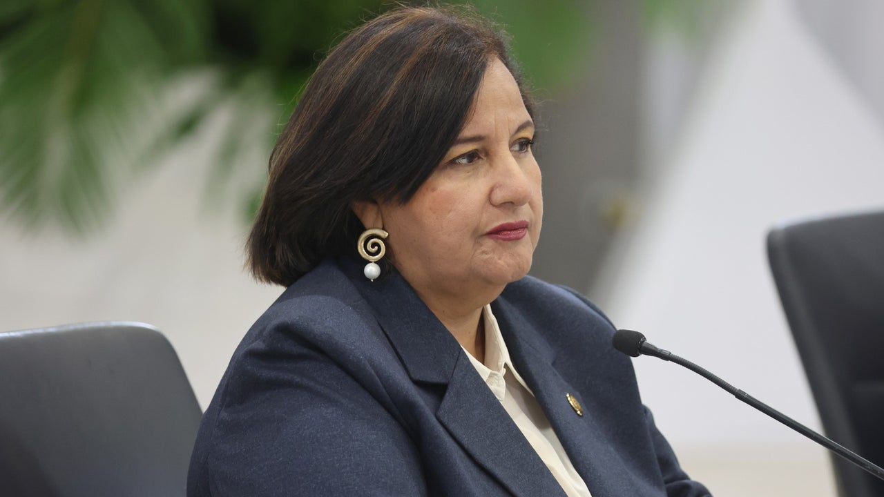 Dinorah Figuera pone sobre la mesa derogar la Ley contra el Odio y la ley contra las ONG, impuestas por el régimen venezolano desde hace años | NTN24.COM