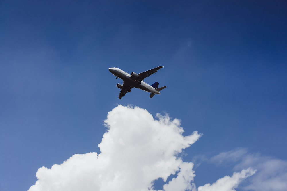 La aerolínea Aeropostal reactiva sus vuelos directos entre Maracaibo y la Isla de Margarita < El Informador Venezuela