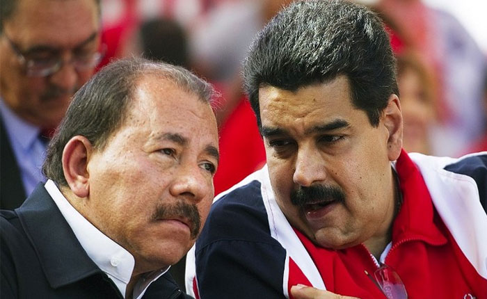 Exiliados nicaragüenses piden a Trump perseguir a Ortega como hizo con Maduro – Efecto Cocuyo