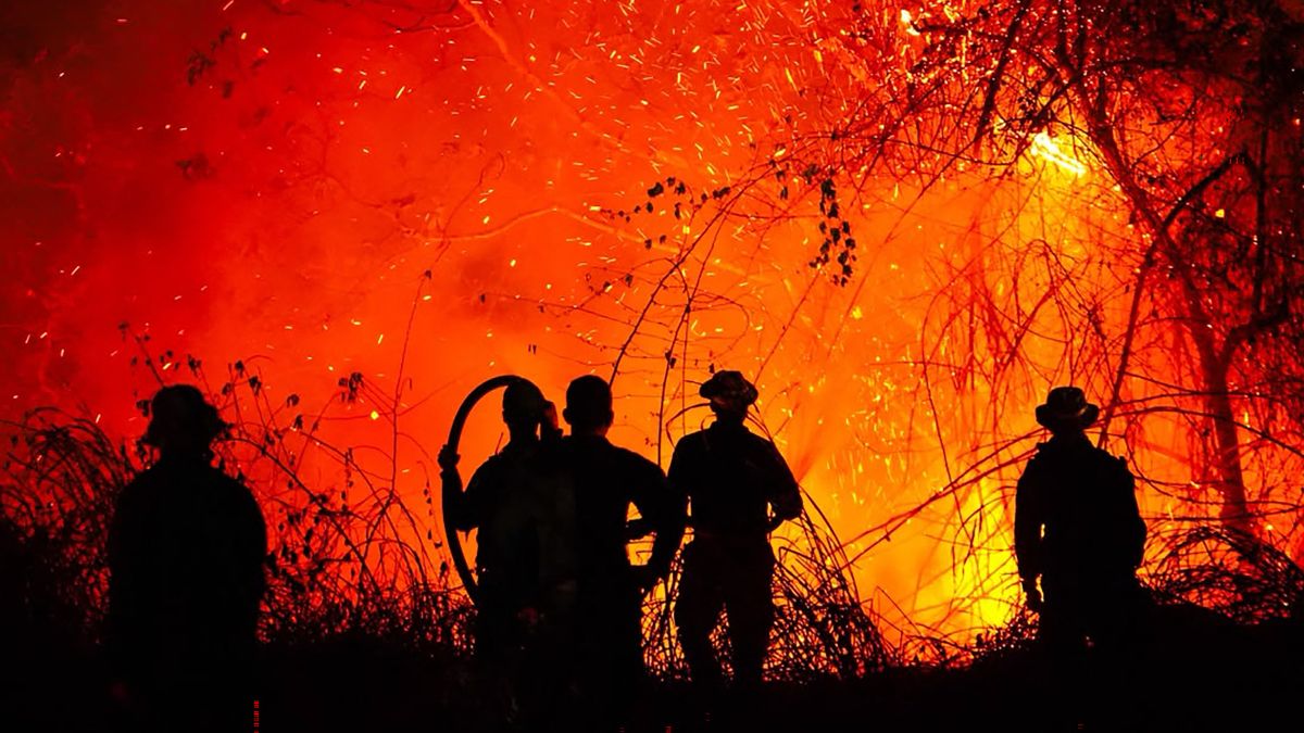 Gobierno de Colombia asegura tener “indicios” de que incendios en Tolima están siendo provocados “deliberadamente” | NTN24.COM