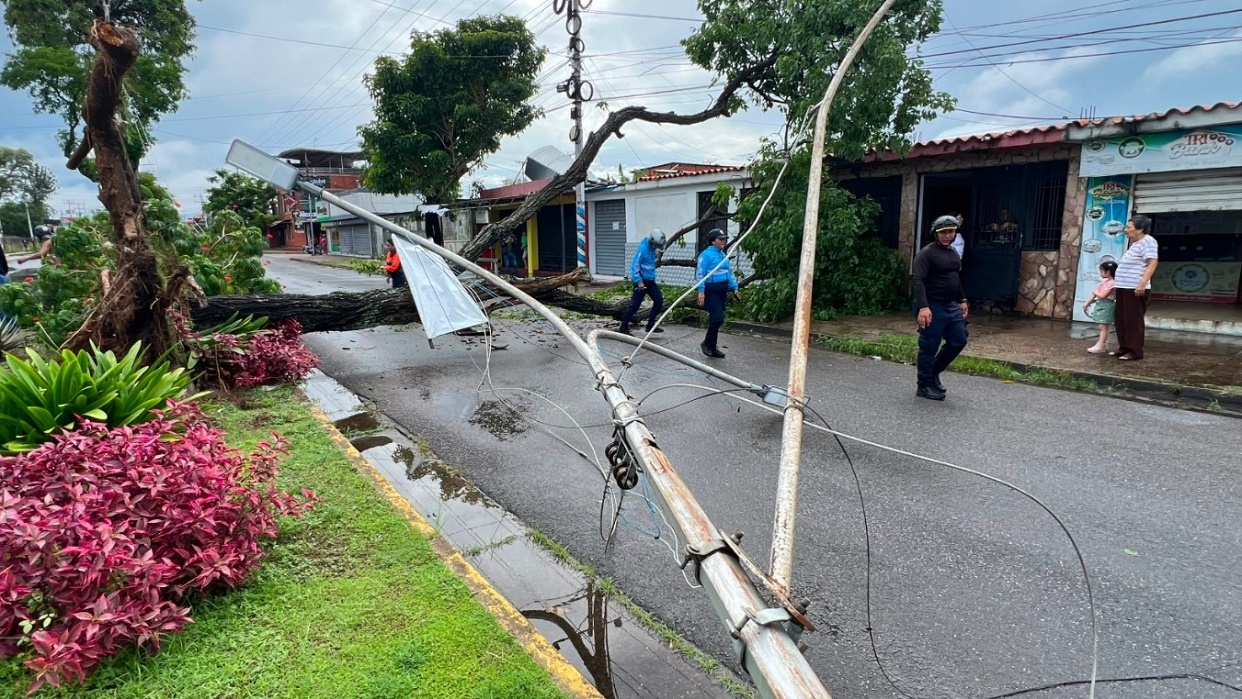 Lluvia y ventolera dejaron árboles caídos y techos volados en Maturín (+Fotos)