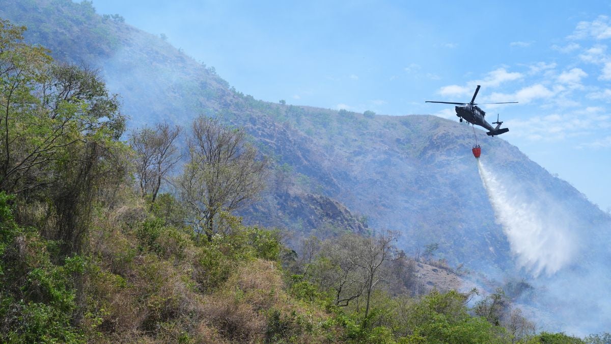 No cesa el fuego en Colombia: UNGRD entregó balance de los incendios en cinco departamentos | NTN24.COM
