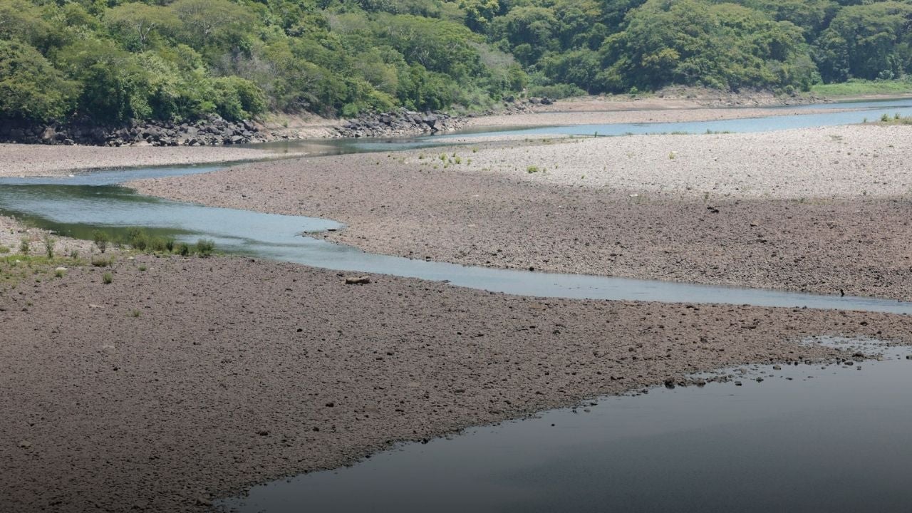Fenómeno de El Niño amenaza con ser el más intenso en 75 años de mediciones climáticas globales | NTN24.COM