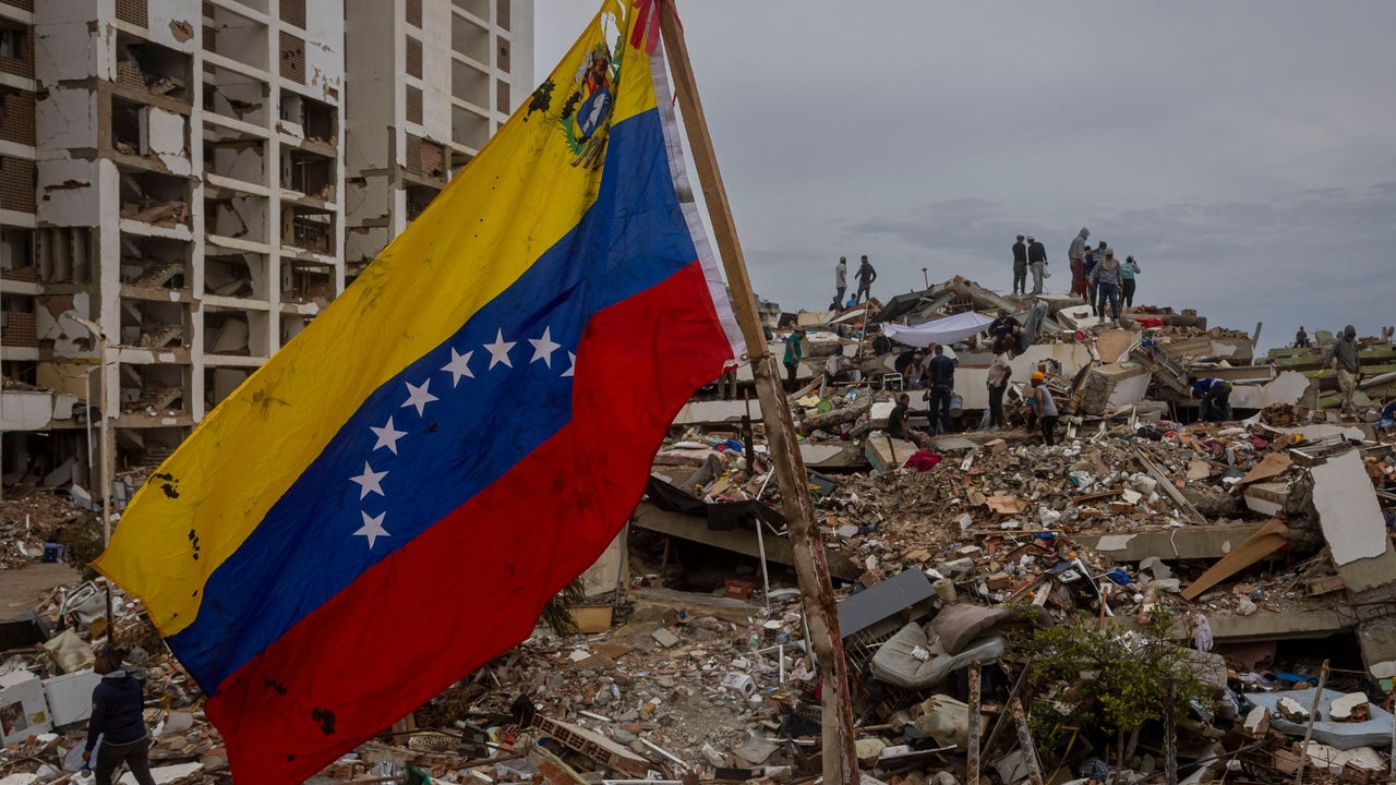 Revelan los síntomas que tuvo antes de morir perro rescatista en su regreso a España desde Venezuela en donde buscó sobrevivientes tras terremotos | NTN24.COM