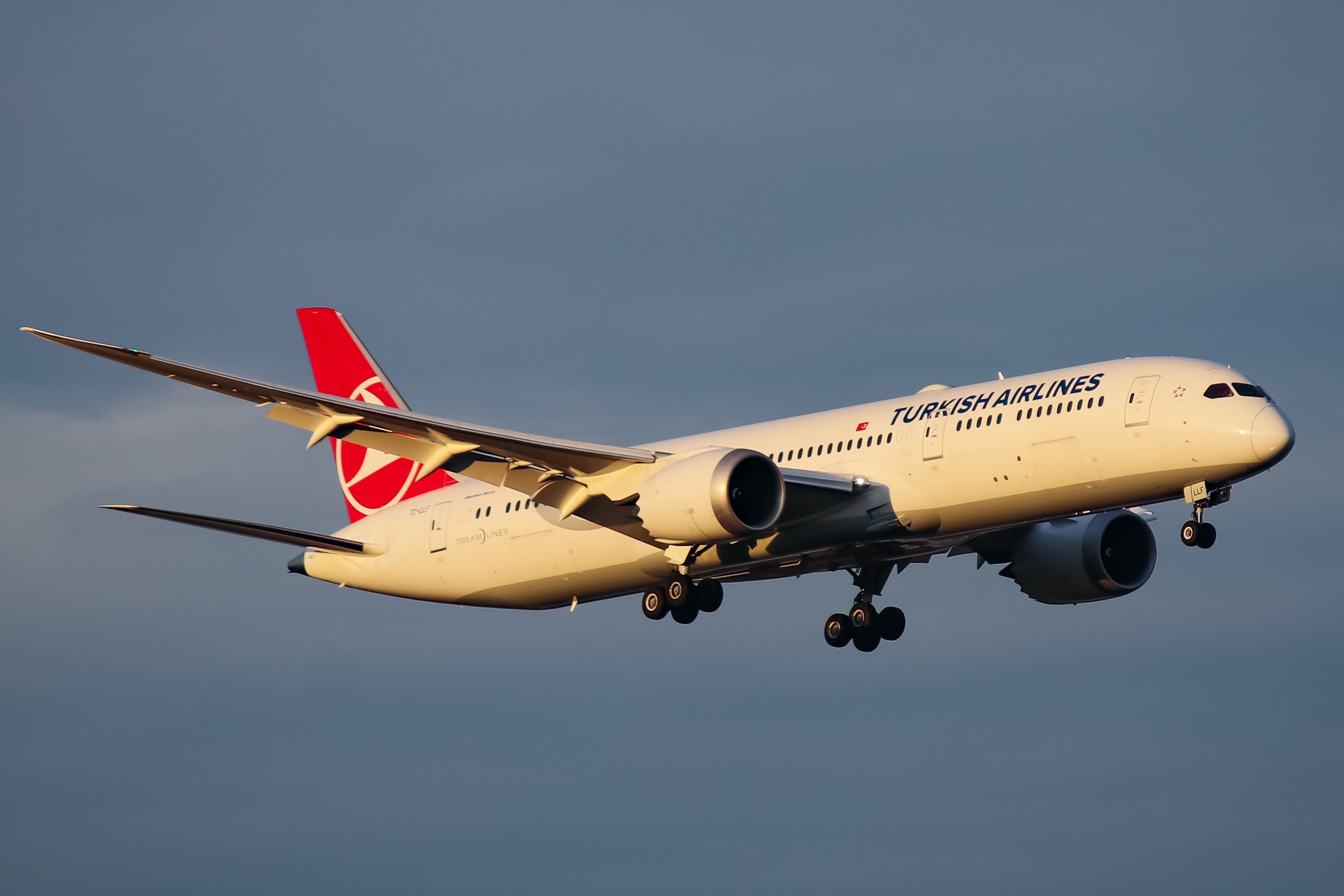 Turkish Airlines y Qatar Airways prevén reanudar sus operaciones aéreas hacia Venezuela < El Informador Venezuela