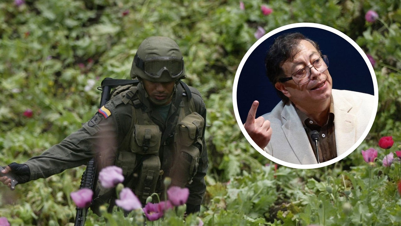 “Es una herencia de Petro”: analista frente a la descertificación de Colombia en la lucha antidrogas | NTN24.COM