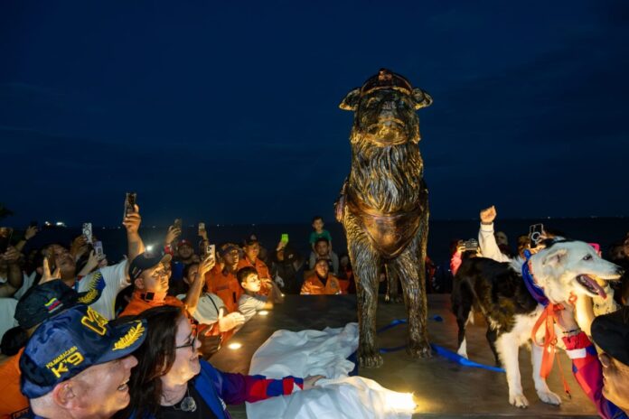 Maracaibo honra al perro rescatista Tsunami con una estatua en su honor (+Video)