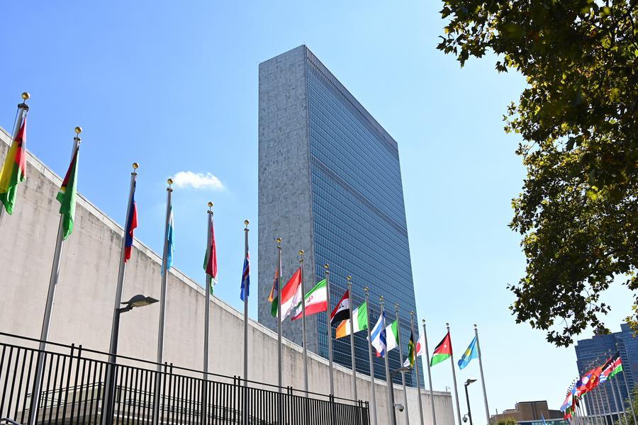 Misión de la ONU pide una “hoja de ruta pública” para medir avances en DD. HH. en Venezuela < El Informador Venezuela