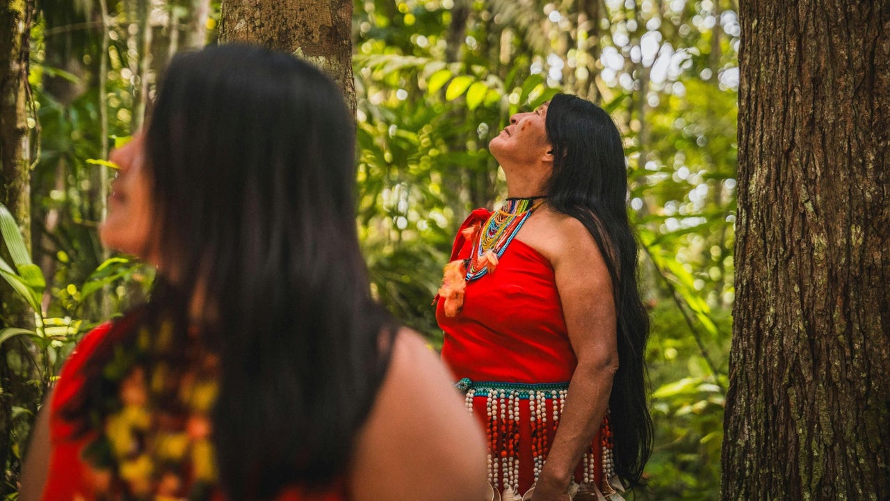 Durante los cuatro años de Gobierno Petro, Colombia fue el país con más asesinatos de líderes ambientales en el mundo, según ONG | NTN24.COM