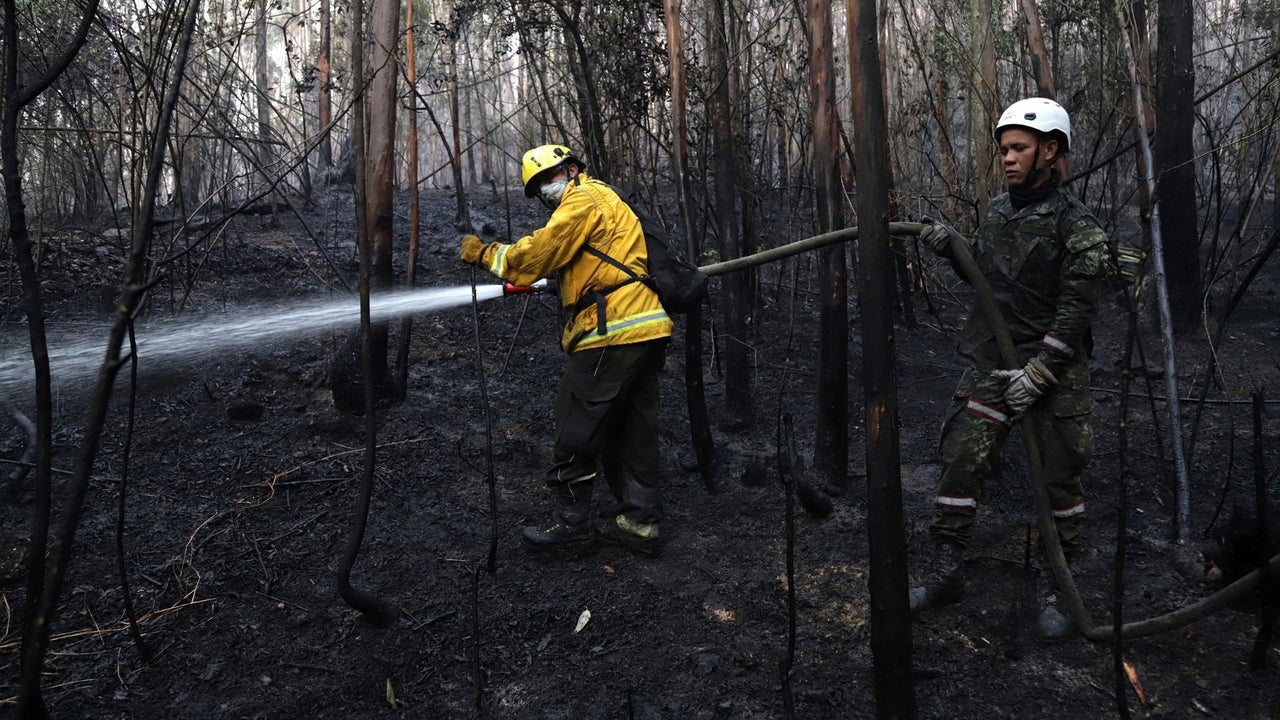 Declaran calamidad pública en joya turística colombiana por un incendio forestal | NTN24.COM
