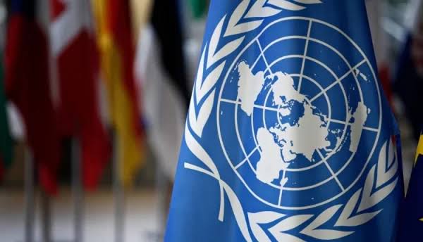 ONG exigen mantener la Misión de la ONU sobre Venezuela hasta 2028 – Efecto Cocuyo