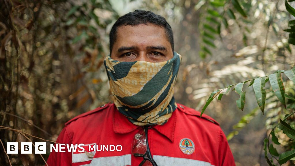 Los voluntarios que arriesgan sus vidas para desactivar las “bombas de carbono” de los catastróficos incendios forestales que azotan Indonesia – BBC News Mundo