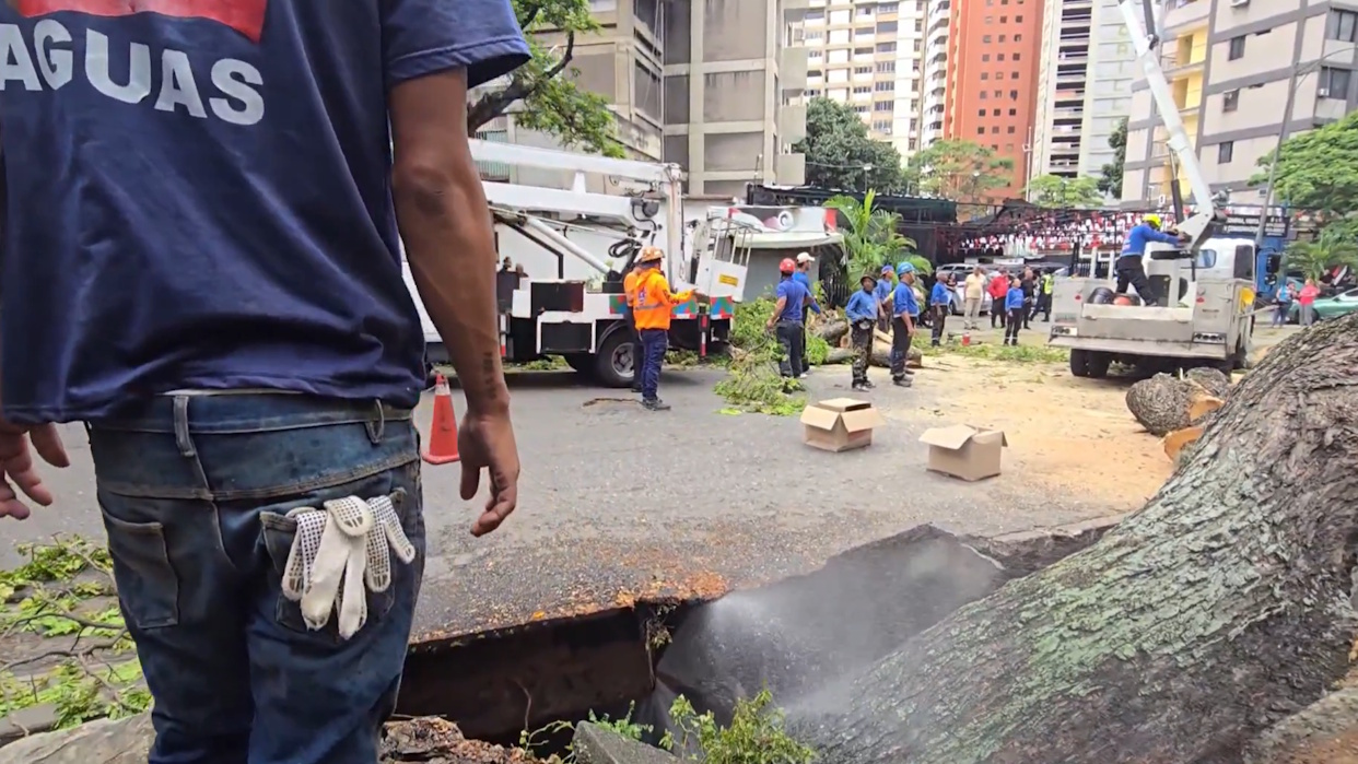 Caída de árbol en sector Los Cedros de Caracas dejó tubería rota y daños en el asfalto
