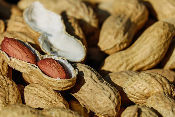 Producción de maní en Venezuela se ubica en 16.725 toneladas en lo que va de año – bancaynegocios.com