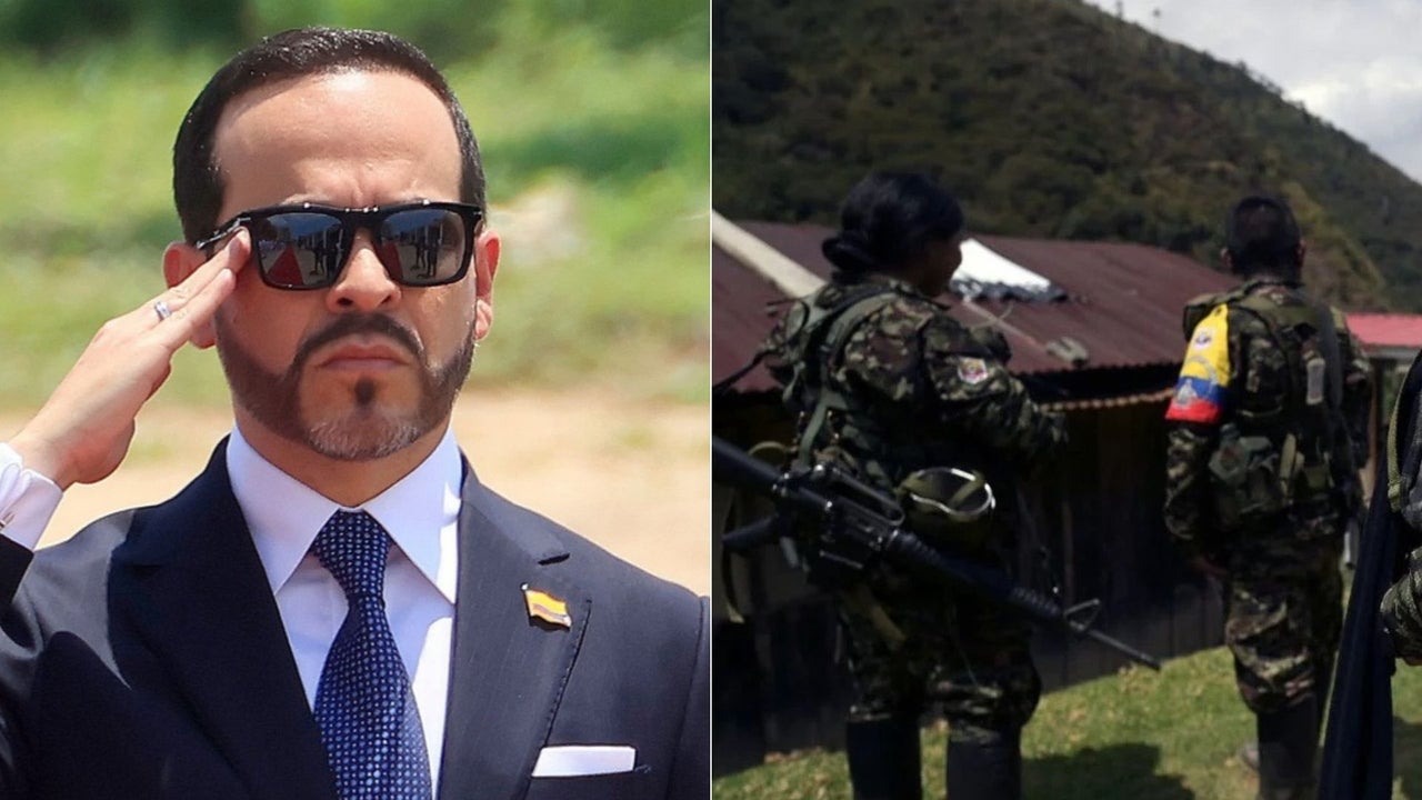 Nuevo golpe de Abelardo en Colombia: Gaula de la Policía desmanteló dos importantes centros de FARC | NTN24.COM