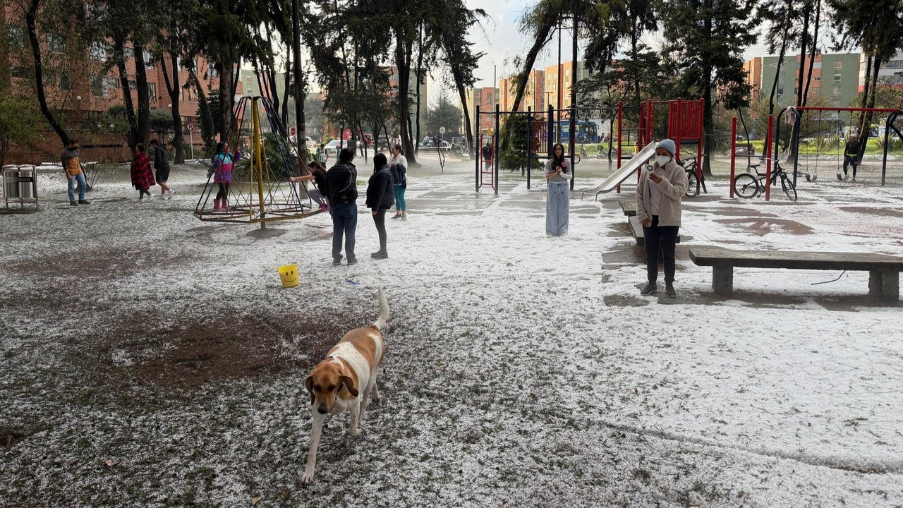 “Nunca había visto una granizada así en Bogotá”: las calles de la capital colombiana quedaron completamente blancas tras lluvias torrenciales | NTN24.COM