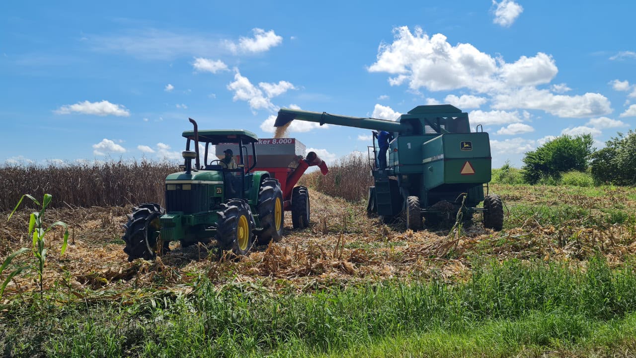 ¡DE SORPRESA LLEGARÁN A MIRAFLORES! Agricultores se movilizan ante la quiebra del sector en Portuguesa < El Informador Venezuela