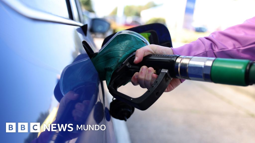 “EE.UU. no debería darle a Rusia un salvavidas financiero mientras mata civiles en Ucrania”: las críticas contra Trump por su plan de importar diésel ruso – BBC News Mundo