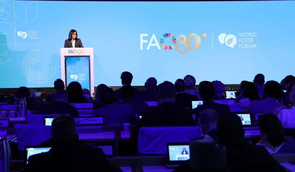 Delcy Rodríguez lanza en Roma el plan “Venezuela Alimenta” y promete “hambre cero” en el país – Efecto Cocuyo