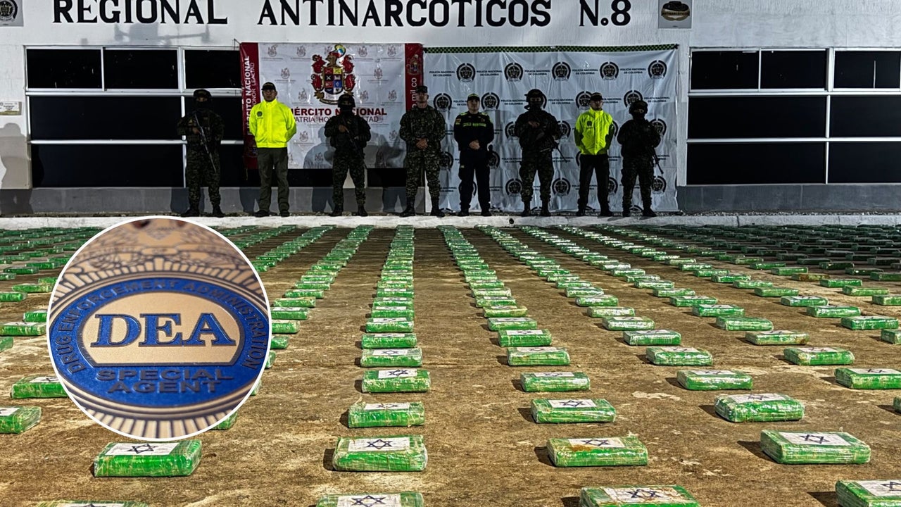 Así fue el golpe de la DEA y el Ejército colombiano a Los Pachenca: “Se esconden como ratas” | NTN24.COM